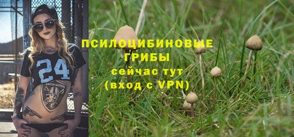 кокаин премиум Белокуриха