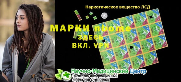 ПСИЛОЦИБИНОВЫЕ ГРИБЫ Белоозёрский
