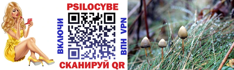 Галлюциногенные грибы Psilocybine cubensis  Богучар 